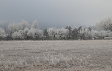 A white and icy morning in Lyons, Colorado