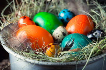 Closeup of fresh colorful eggs for Easter on hay