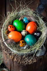 Colourfull Easter eggs on old wooden stump