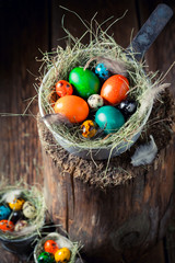 Fresh colorful Easter eggs in the nest with hay