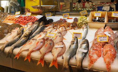 mallorca © fotobild40