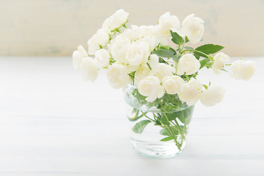 612 Best ミニバラ Images Stock Photos Vectors Adobe Stock