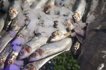 the Freshly caught Sea fishes and other seafood on display at Borough Market