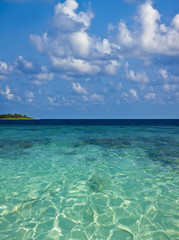 Schönes Korallenriff auf den Malediven
