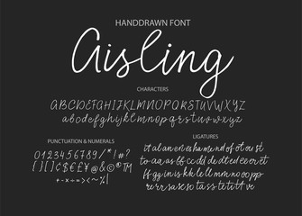 Modern calligraphic font. Brush painted letters.