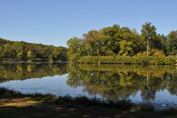 Fototapeta na wymiar Lake with Trees Reflecting in the Water