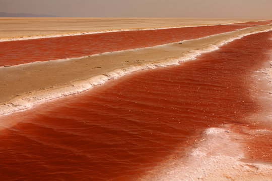 Tunisia, near Tozeur, Chott El Jerid, salt lake