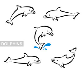 Obraz premium Zestaw delfinów. Wektor