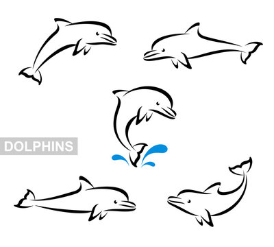 Dolphins set. Vector