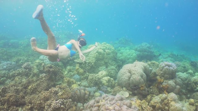 Young girl in a mask and a tube dives under the water. Girl snorkelling underwater. Tourist having fun diving in crystalline blue water, Happy tourist on vacation.