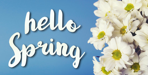Hello Spring flowers