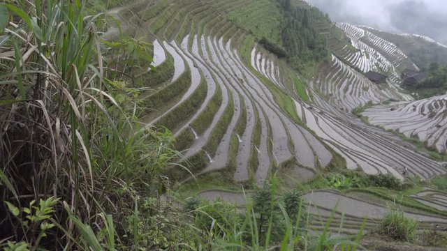 Pan of Ping An rice paddies