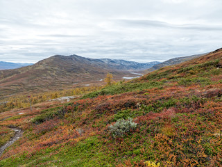 Abisko national park in autumn
