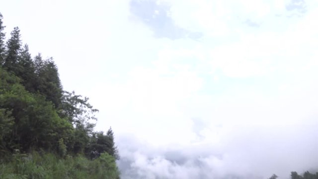 Pan from sky to rice paddies