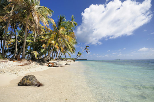 Panama, San Blas Islands, Cayos Los Grullos