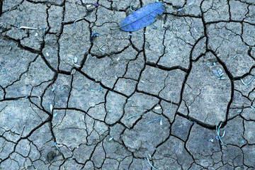 Abstract crack dry soil, vintage blue filter effect crack pattern on dry soil background
