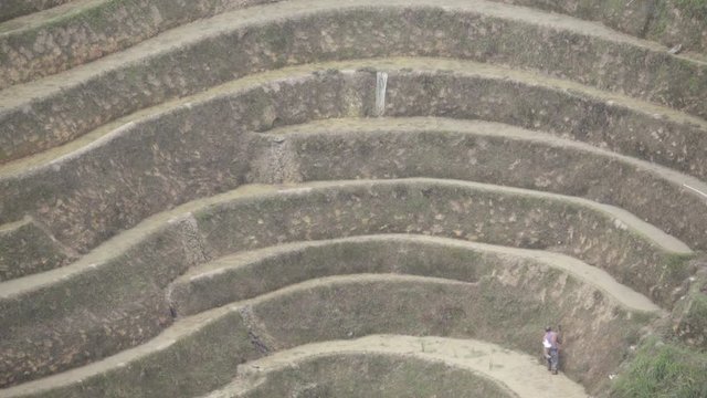Zhuang farmer works side of steep Ping an crop