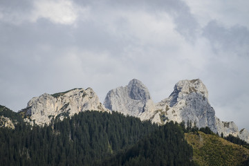 Landscape Tannheimer Tal