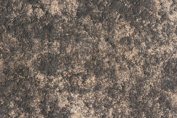 This is texture on the surface of the sandstone.