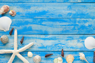 top view of sea shell on light blue wood background