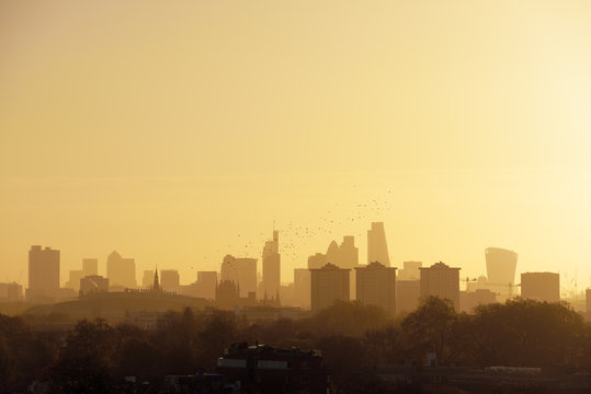 UK, London, flock of birds in front of skyline in morning light