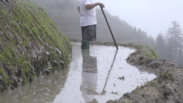 Chinese farmer standing near a rice terrace