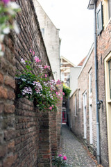 Fototapeta na wymiar Narrow old alley with houses and decorative flowers hanging on brick wall. Deventer, Overijssel, Netherlands.