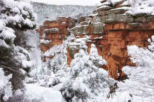Spain, Province of Guadalajara, Molina de Aragon, Corduente, Barranco de la Virgen de la Hoz in winter