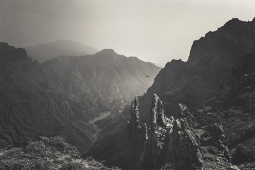 Bird flying over Caldera de Taburiente, monochrome