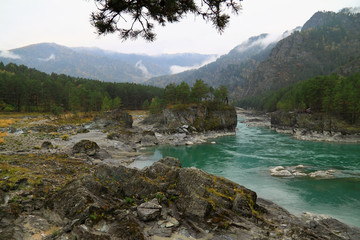 Turquoise river Katun in the autumn on Altai