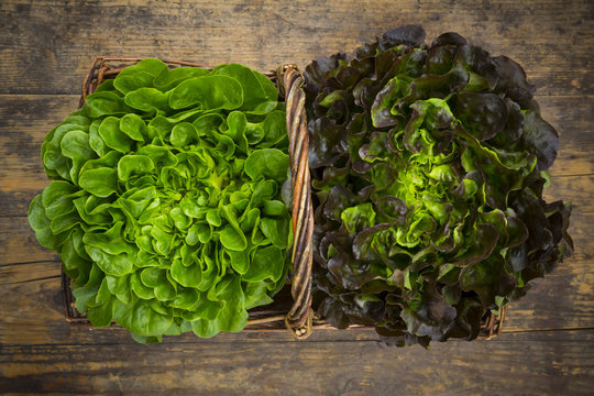 Wicker basket with two different leaf salads