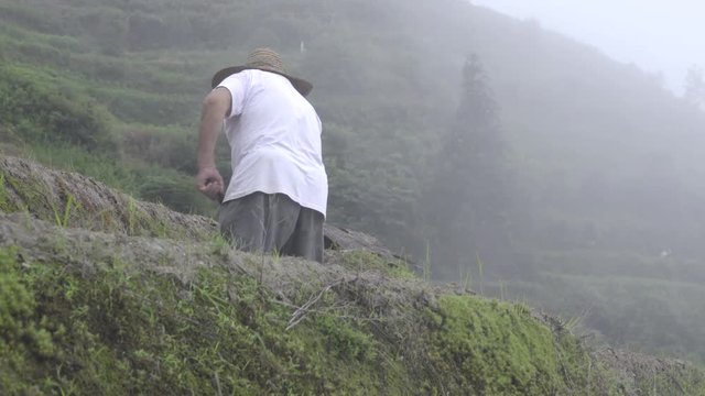 Chinese farmer using a hoe to chop soil
