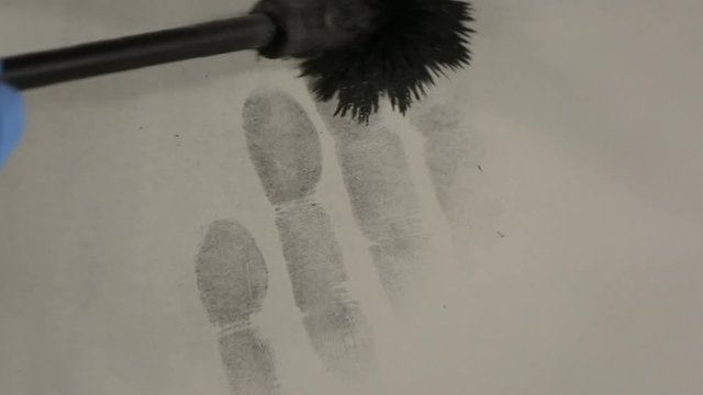 Fingerprints, Magnetic Powder Applicator develops latent  print on grey paper