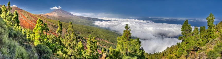 Fototapeten Panorama of the volcano Teide and Orotava Valley - view from Mirador La Crucita (Tenerife, Canary Islands)  © Henner Damke
