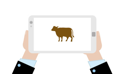 Geschäftsmann mit Tablet - Rind