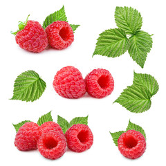 Raspberries isolated on white background. Collection.