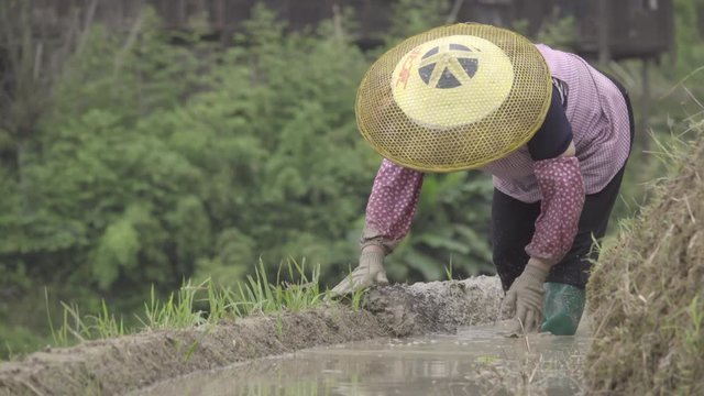 Female farmer wearing typical peasant hat