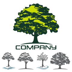Deciduous tree logo