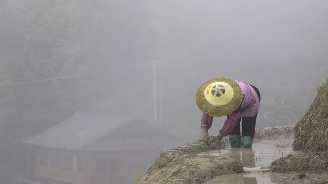 Chinese woman farming on side of a mountain