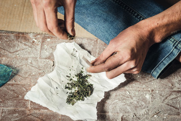 A drug addict makes a cigarette with marijuana. The concept of drug abuse and traffic