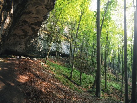 Mazarna Cave under Tlsta Mountain in Great Fatra (Velka Fatra) Mountain Range, Western Carpathians, Slovakia
