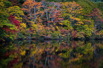 Togakushi's Lake  , Kagami-ike pond in autumn morning
