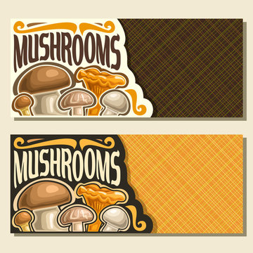 Vector banners for Mushrooms with copy space, cards with edible honey agaric, wild porcini mushroom, forest chanterelle, shiitake & fresh champignon, set of veg mix with text mushrooms for vegan store