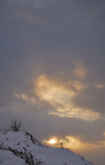 夕暮れ　冬　雪　空　枯草　素材