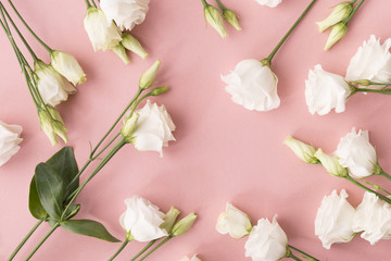 Fototapeta na wymiar White roses and pink ribbon