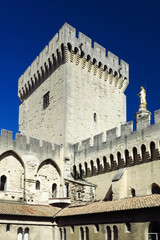 Fototapeta premium Detail Papstpalast in Avignon, Frankreich