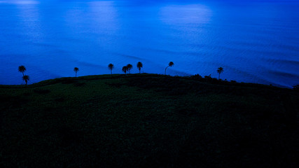 Obraz na płótnie Canvas Aerial shot of unspoiled tropical coastline at night.