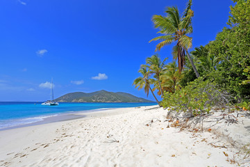 Trauminsel in der Karibik (Sandy Island, British Virgin Islands)
