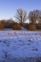A snow-covered field and tall trees with a village in the distance at sunset in winter.