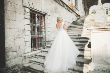 Obraz premium Beautiful elegant bride with perfect wedding dress and bouquet posing near old castle